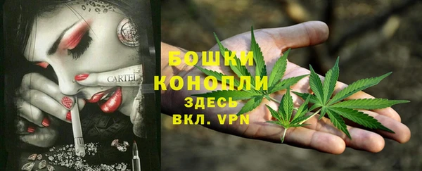 винт Армянск