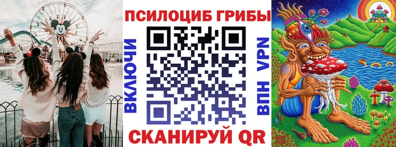 Галлюциногенные грибы Psilocybe  Рошаль 